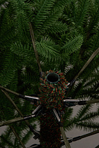 Ель искусственная литая Вдохновение