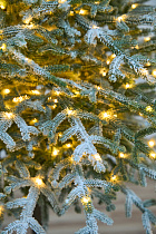 Ель искусственная Эми с лампочками заснеженная на штамбе