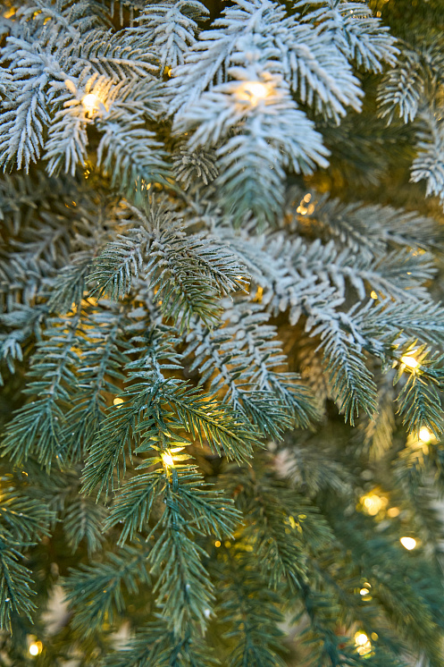 Ель заснеженная с лампочками Аркадия