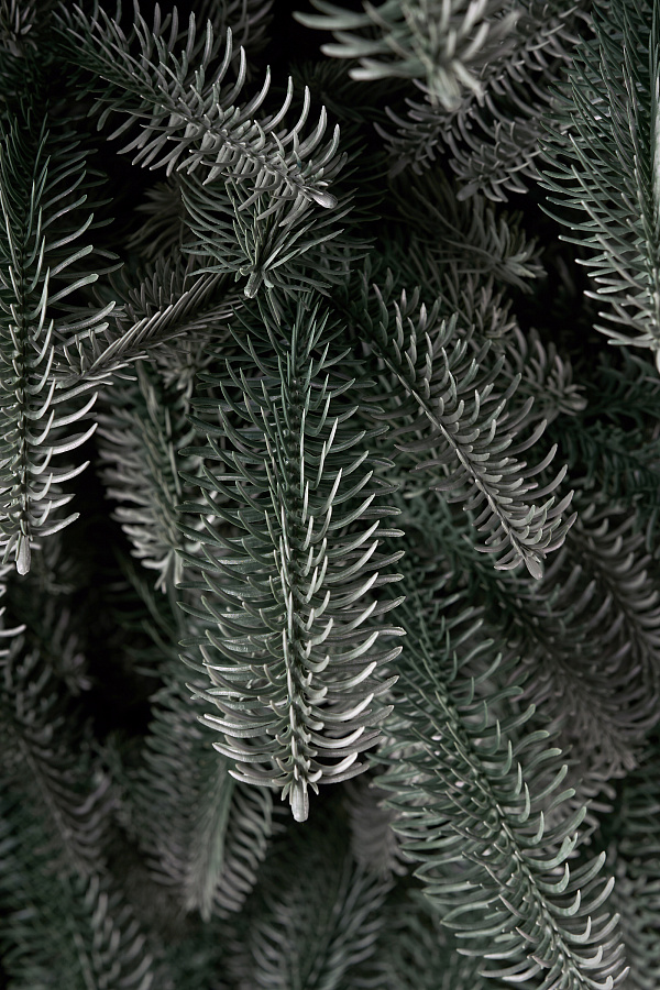 Ель искусственная Датская голубая