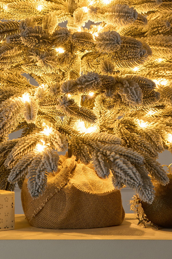 Ель настольная Романовская заснеженная с лампочками