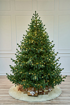 Ель с лампочками литая Таежная