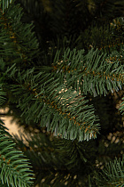 Ель искусственная премиум Норильская