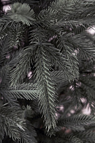 Ель литая Вяземская голубая