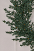 Венок рождественский Мурманский