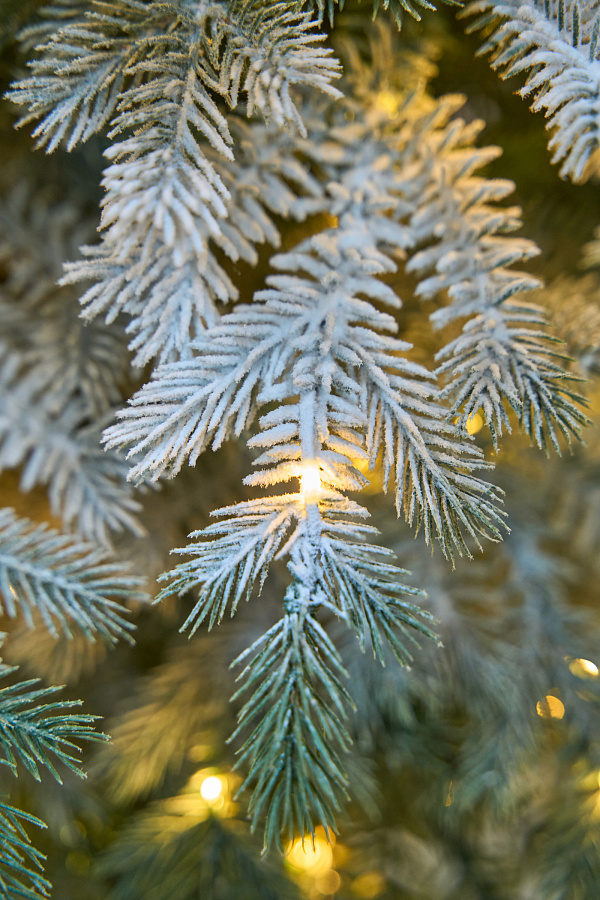 Ель заснеженная с лампочками Аркадия