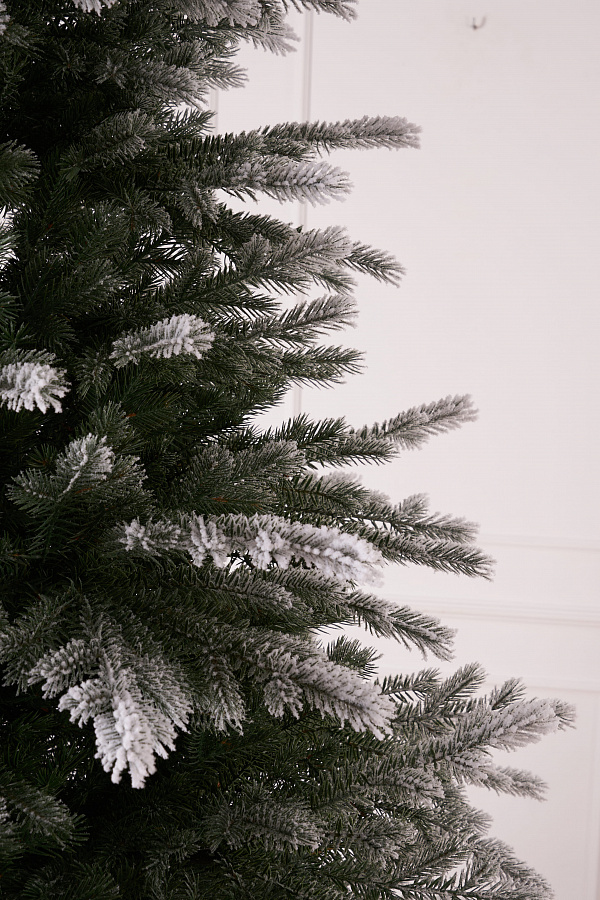 Ель литая Мурманская иней