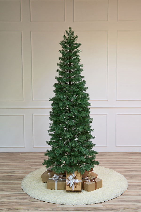 Ель литая Горная Шория