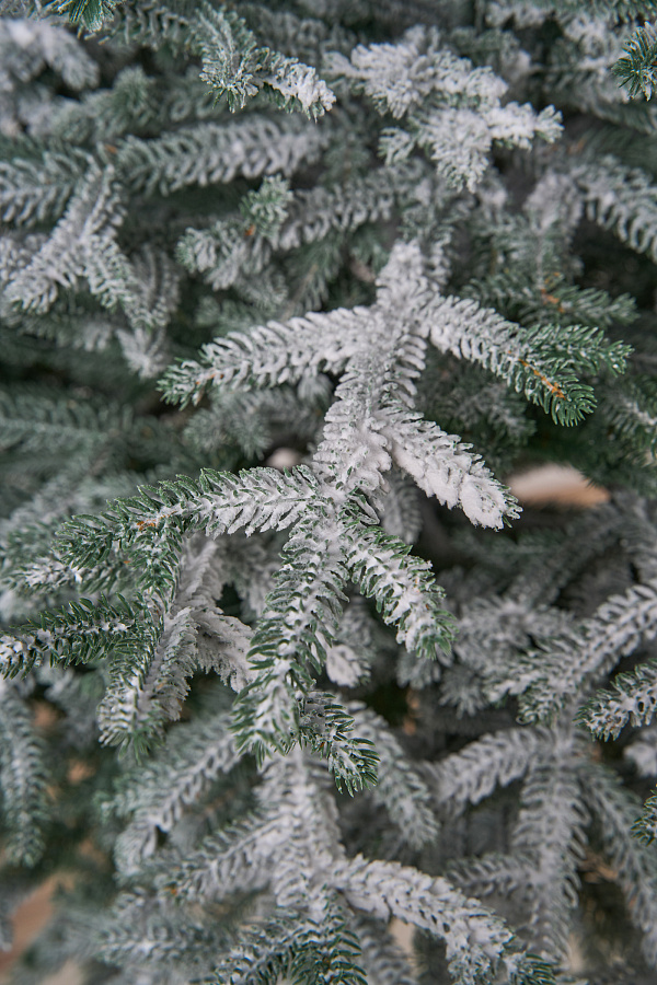 Ель искусственная заснеженная Эми на штамбе