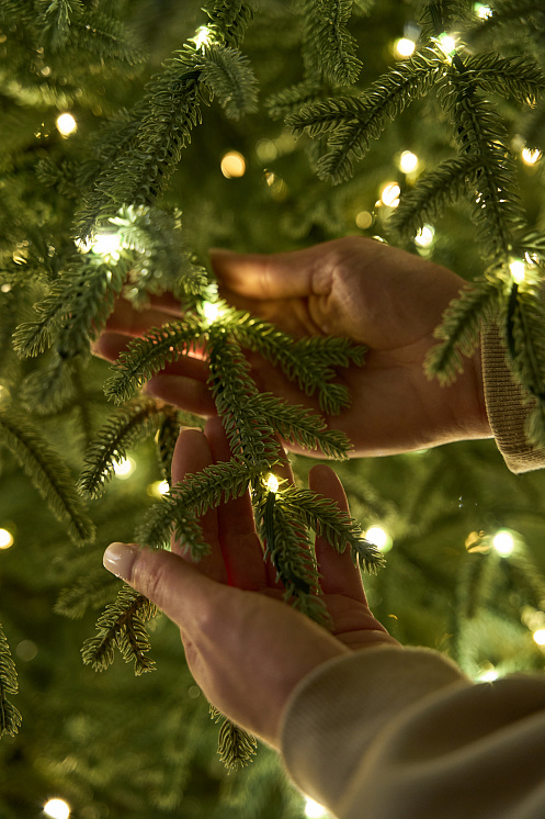 Ель голубая с лампочками литая Арко Элитная