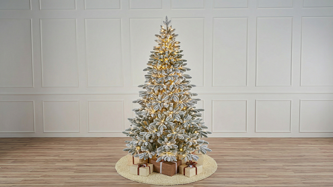 Ель с лампочками заснеженная Калининградская