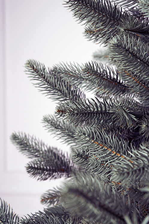 Ель литая Сочинская голубая