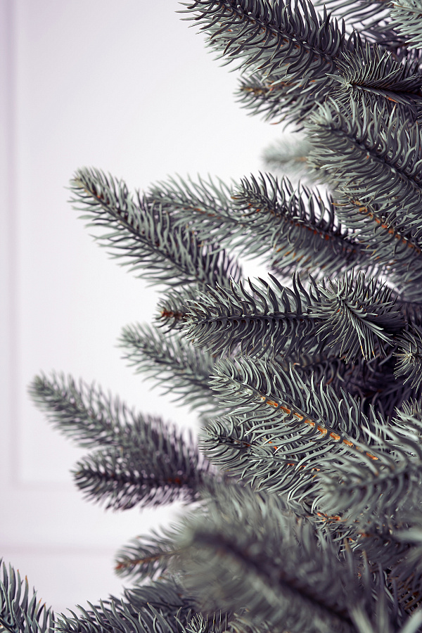 Ель литая Сочинская голубая