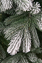 Ель искусственная премиум заснеженная Норильская