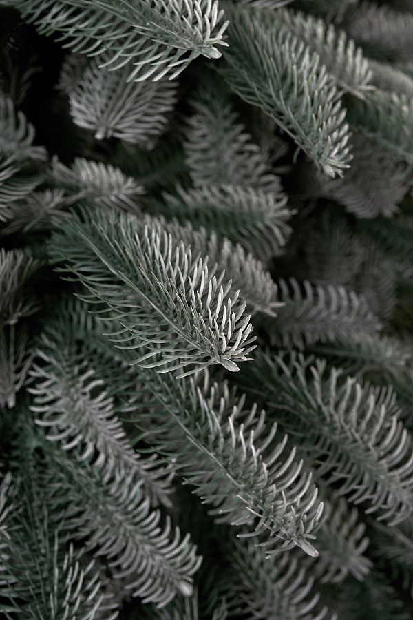 Ель искусственная Датская голубая