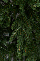 Ель искусственная литая Пушкинская