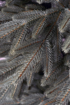 Ель искусственная литая Самарская голубая