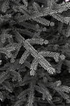 Ель искусственная литая Арко голубая