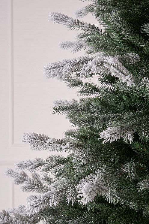 Ель литая Мурманская иней