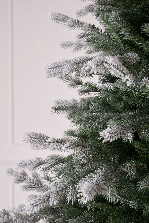 Ель литая Мурманская иней