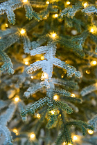 Ель искусственная Эми с лампочками заснеженная на штамбе