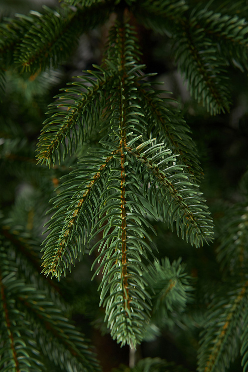 Ель искусственная литая Пушкинская