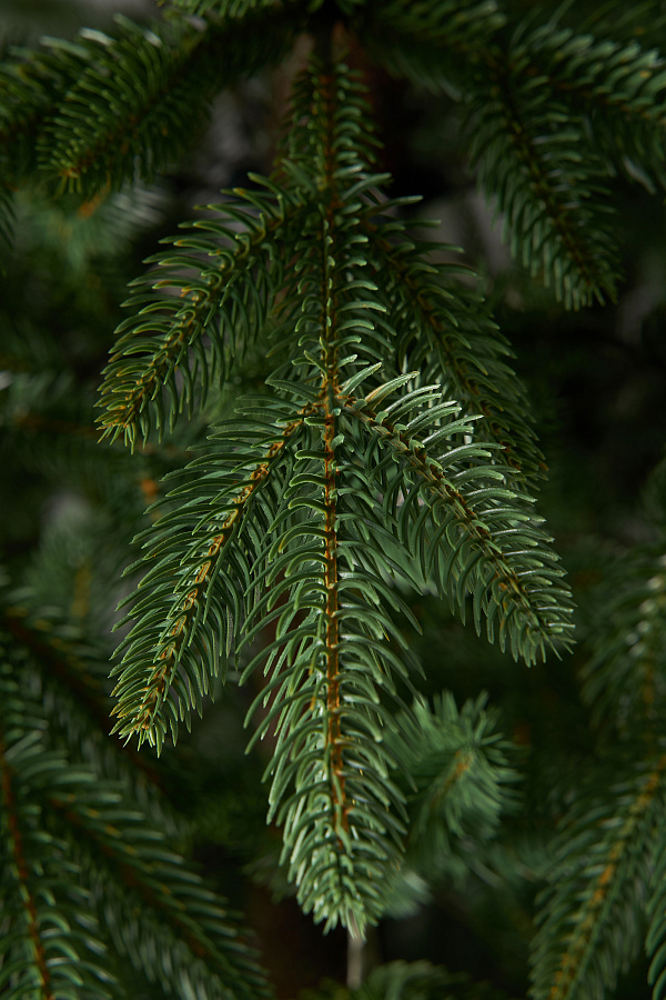 Ель искусственная литая Пушкинская