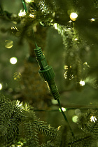 Ель голубая с лампочками литая Арко Элитная