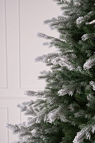 Ель литая Мурманская иней