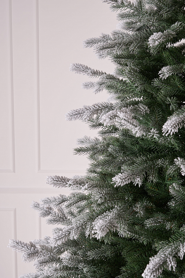 Ель литая Мурманская иней