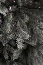 Ель искусственная литая Новгородская голубая