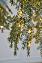 Ель искусственная заснеженная с лампочками Фиджи