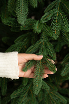 Ель искусственная литая Пушкинская