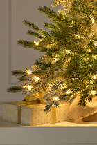 Ель Шуша настольная иней с лампочками