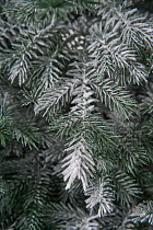 Ель искусственная Фиджи иней