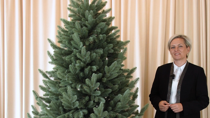 Ель литая Сочинская голубая