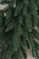 Венок рождественский Испанский