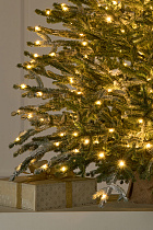 Ель Эми настольная иней с лампочками