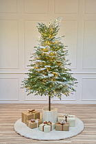 Ель заснеженная с лампочками Аркадия