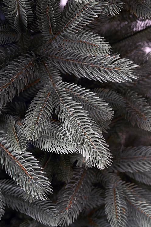 Ель искусственная литая Тверская голубая