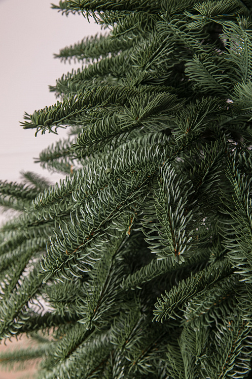 Ель литая Нобилис