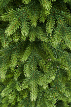 Ель искусственная литая Воронцовская