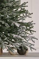 Ель искусственная Эми настольная иней