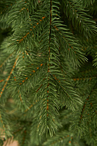 Ель искусственная литая Зеленоградская