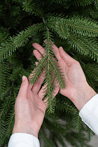 Ель искусственная литая Ладожская