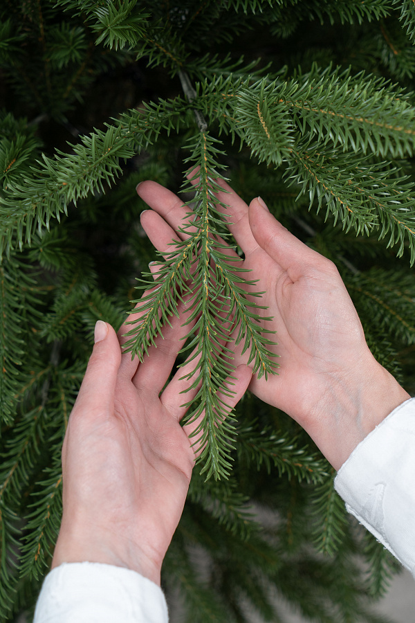Ель искусственная литая Ладожская