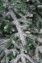 Ель искусственная заснеженная Эми на штамбе