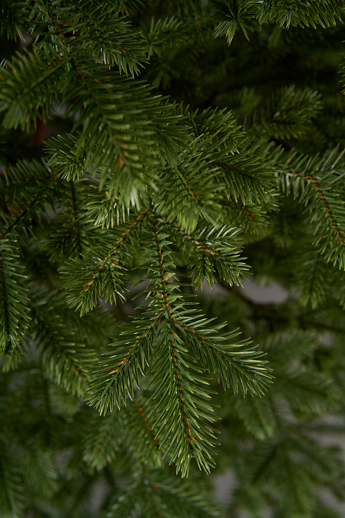 Елка литая Лозанна