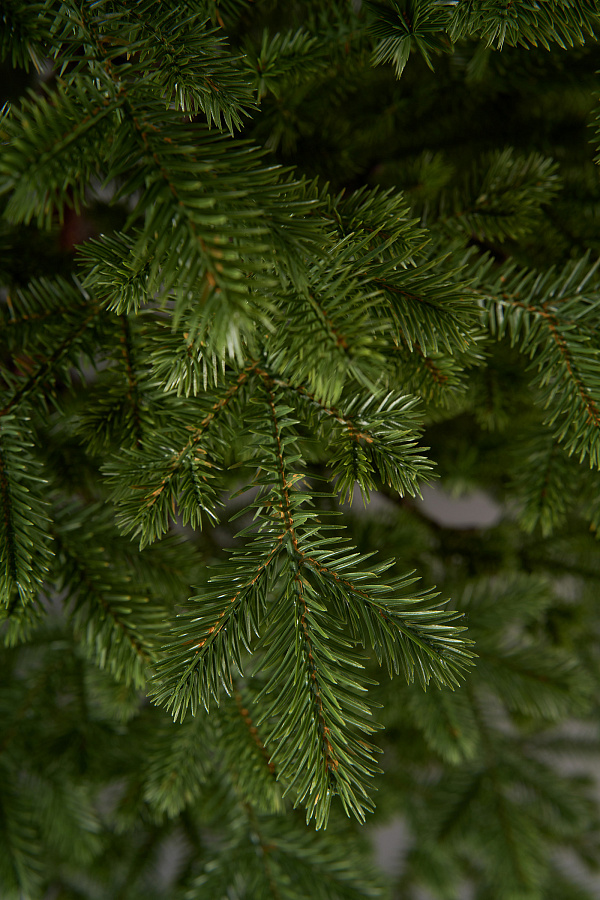 Елка литая Лозанна