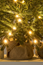 Ель настольная Византийская с лампочками